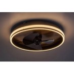 Lubinis šviestuvas Faustine LED 30W 3000-6500K CCT keičiama balta spalva (Juoda)