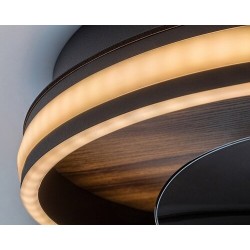Lubinis šviestuvas Faustine LED 30W 3000-6500K CCT keičiama balta spalva (Juoda)