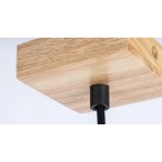 Pakabinamas šviestuvas Toras GU10 1X MAX 5W (Ąžuolo)