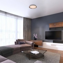 Lubinis šviestuvas Valter LED 36W 3000K Šilta balta (Ruda)