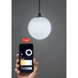 LiTrack magnetinės sistemos šviestuvas Pend.03V 2700-5500K CCT keičiama balta spalva (Juoda)