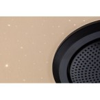 Lubinis šviestuvas Nikolaus LED 24W 3000-6500K CCT keičiama balta spalva (Juoda)