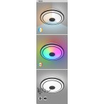 Lubinis šviestuvas Nikolaus LED 24W 3000-6500K CCT keičiama balta spalva (Juoda)