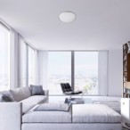Lubinis šviestuvas Engon LED 24W 4000K Neutrali balta (Sidabro)