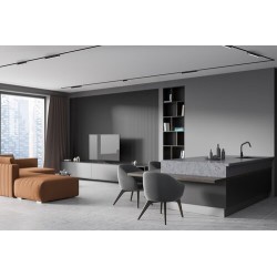 LiTrack magnetinės sistemos šviestuvas Line04W 3000K Šilta balta (Juoda)