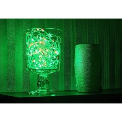 Dekoratyvinis šviestuvas Biri LED 3.2W (skaidri)