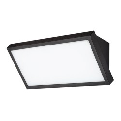 Sieninis lauko šviestuvas Rapla2 LED 18W 2700, 4000, 6500K CCT keičiama balta spalva (juoda)