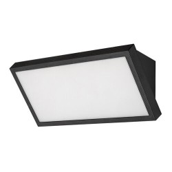 Sieninis lauko šviestuvas Rapla2 LED 18W 2700, 4000, 6500K CCT keičiama balta spalva (juoda)