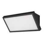Sieninis lauko šviestuvas Rapla2 LED 18W 2700, 4000, 6500K CCT keičiama balta spalva (juoda)