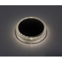 Saulės energija įkraunamas šviestuvas Trillo LED 0.3W 4000K Neutrali balta (skaidri)