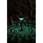 Įsmeigiamas lauko šviestuvas Monor LED 0.1W 3000K Šilta balta (juoda)