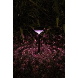Įsmeigiamas lauko šviestuvas Monor LED 0.1W 3000K Šilta balta (juoda)