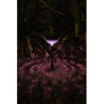 Įsmeigiamas lauko šviestuvas Monor LED 0.1W 3000K Šilta balta (juoda)