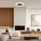 Lubinis šviestuvas Dalfon2 LED 48W 3000-6500K CCT keičiama balta spalva (juoda)