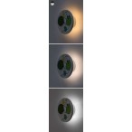 Vaikiškas šviestuvas Froggo LED 9W 3000, 4000, 6500K CCT keičiama balta spalva (Balta)