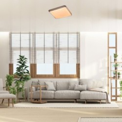 Lubinis šviestuvas Druzor LED 40W 3000K Šilta balta (Ruda)
