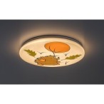Vaikiškas šviestuvas Hedgy LED 24W 3000K Šilta balta (Balta)