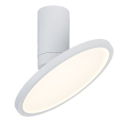 Lubinis šviestuvas Ovidia LED 20W 3000K Šilta balta (Balta)