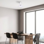 Lubinis šviestuvas Ovidia LED 20W 3000K Šilta balta (Balta)