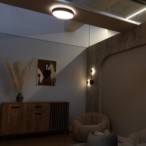 Lubinis šviestuvas Laleh LED 24W 3000-6500K CCT keičiama balta spalva (Juoda)