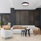 Lubinis šviestuvas Laleh LED 48W 3000-6500K CCT keičiama balta spalva (Juoda)
