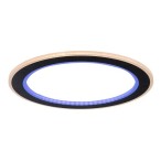 Lubinis šviestuvas Golwen LED 22W 3000-6500K CCT keičiama balta spalva (Juoda)