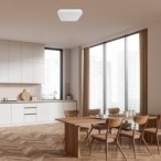 Lubinis šviestuvas Alenzo LED 24W 3000, 4000, 6000K CCT keičiama balta spalva (Balta)