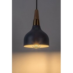 Pakabinamas šviestuvas Drusilla E27 1x MAX 40W (Pilka)