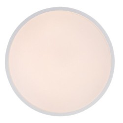 Lubinis šviestuvas Alenzo LED 24W 3000-6000K CCT keičiama balta spalva (Balta)