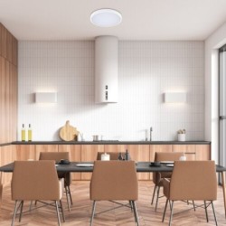 Lubinis šviestuvas Alenzo LED 24W 3000-6000K CCT keičiama balta spalva (Balta)