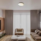 Lubinis šviestuvas Jindri LED 48W 3000-6500K CCT keičiama balta spalva (Juoda, Aukso)