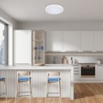 Lubinis šviestuvas Alenzo LED 36W 3000-6000K CCT keičiama balta spalva (Balta)