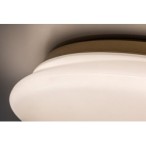 Lubinis šviestuvas Caliope LED 24W 4000K Neutrali balta (Aukso)