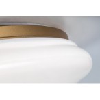 Lubinis šviestuvas Caliope LED 24W 4000K Neutrali balta (Aukso)