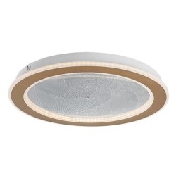 Lubinis šviestuvas Efrael LED 24W 3000, 4000, 6500K CCT keičiama balta spalva (Aukso)