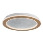 Lubinis šviestuvas Efrael LED 24W 3000, 4000, 6500K CCT keičiama balta spalva (Aukso)