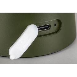 Stalinis šviestuvas Mireo LED 1.5W 3000K Šilta balta (Žalia)