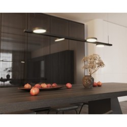 Pakabinamas šviestuvas Ibiza IV 4x Integruotas LED 32W Juoda