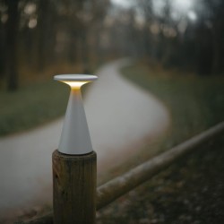 Stalinis šviestuvas Maxlight Funghi 1.6W 2700K Pilkas