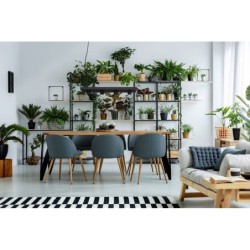 Pakabinamas šviestuvas PLANT GU10 IP20 Juoda