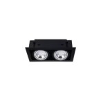 Įleidžiamas lubinis šviestuvas DOWNLIGHT ES111 2xGU10 IP20 Juoda