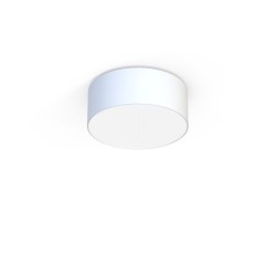 Plafonas CAMERON 2xE27 IP20 Balta