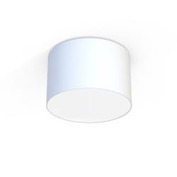 Plafonas CAMERON 3xE27 IP20 Balta