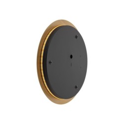 Sieninis šviestuvas RING LED L LED 13W 3000K IP20 Satino aukso