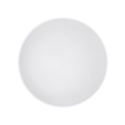 Plafonas AGNES ROUND LED PRO LED 32W 4000K IP44 Balta