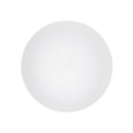 Plafonas AGNES ROUND PRO LED 64W 3000K IP44 Balta