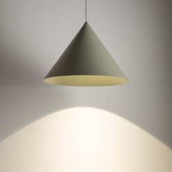 Pakabinamas šviestuvas ZENITH M 1xGU10 IP20 Šalavijo