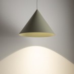 Pakabinamas šviestuvas ZENITH M 1xGU10 IP20 Šalavijo