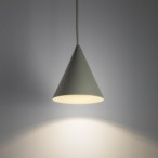 Pakabinamas šviestuvas ZENITH XS 1xGU10 IP20 Šalavijo