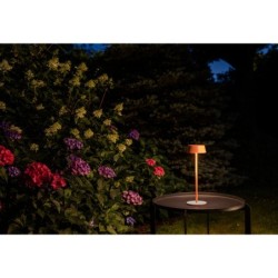 Stalinis lauko šviestuvas AMY LED LED 2W 3000K IP54 Terakotos